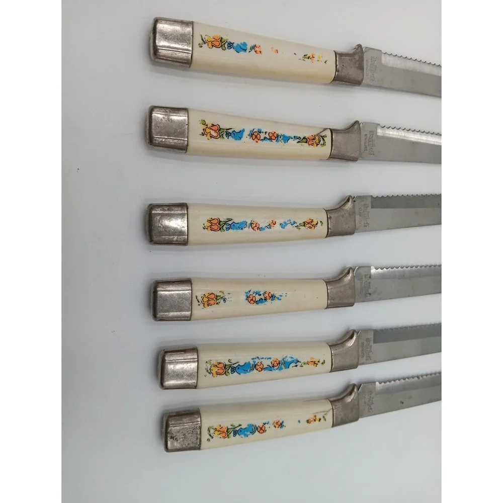 6 VTG Steak Knives Plastic Handle‎ Blue Bird Orange Stainless